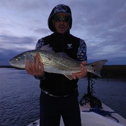 Folly Beach Fishing Charters, Red Drum